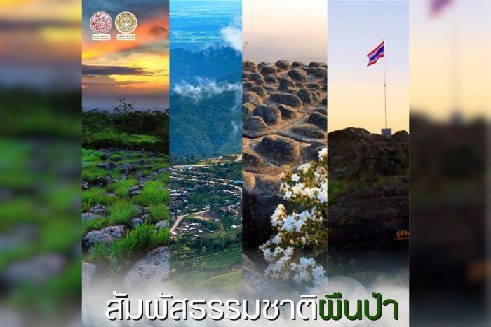 ทางหลวงหมายเลข 2331 ชวนสัมผัสธรรมชาติผืนป่าและสายหมอกแห่งขุนเขา ณ “ภูหินร่องกล้า”