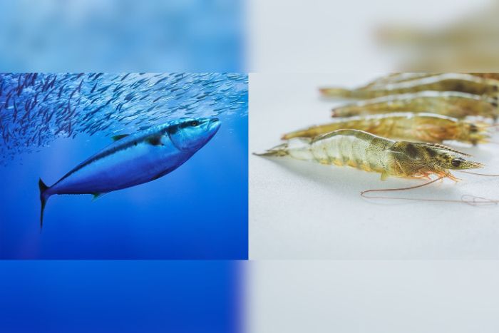 อุตสาหกรรมอาหารทะเลของไทยในปี 2569 มีแนวโน้มเผชิญปัจจัยเสี่ยงด้านลบสูงขึ้น ทั้งจากอุปสงค์ที่อ่อนแอ ภาษีทรัมป์ และการแข่งขันที่รุนแรงขึ้น