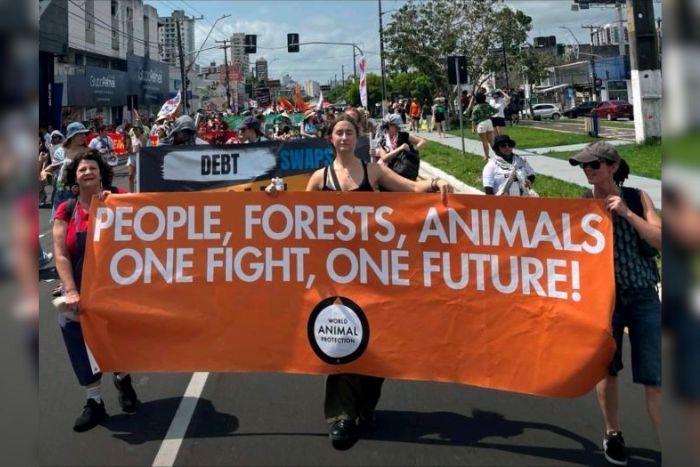 World Animal Protection ชี้ฟาร์มอุตสาหกรรมเร่งวิกฤตภูมิอากาศ–เชื้อดื้อยา เรียกร้องเปลี่ยนผ่านสู่ระบบอาหารที่เป็นธรรมและยั่งยืน